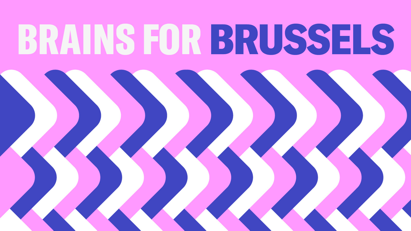 Brains for Brussels - Mobility programme for postdoc researchers to come to Brussels!