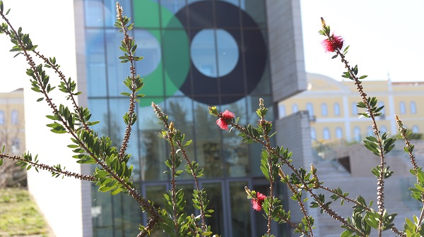 University of the Month – NOVA University Lisbon