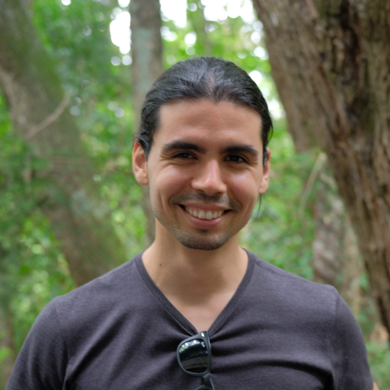 Marcos Araújo Castro e Silva