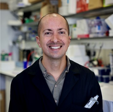 Dr. André R. A. Marques